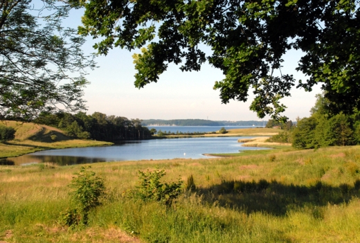 Fredninger i fare – skriv under!